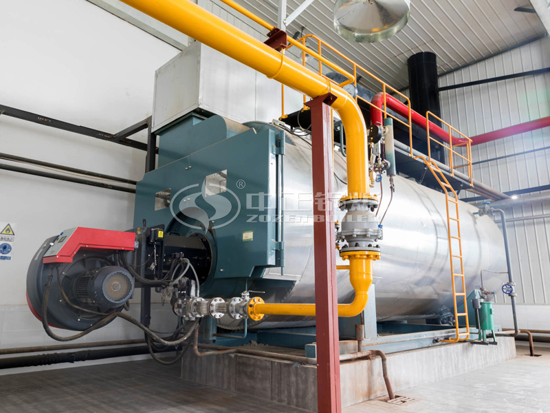 10噸WNS系列冷凝式燃?xì)庹羝仩t項目(長春華濤)